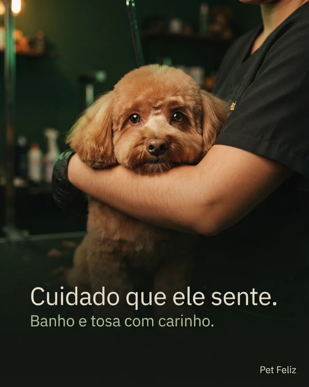 A Pet shop post generated by PostroAI, with the line “Cuidado que ele sente.” and the Pet Feliz signature